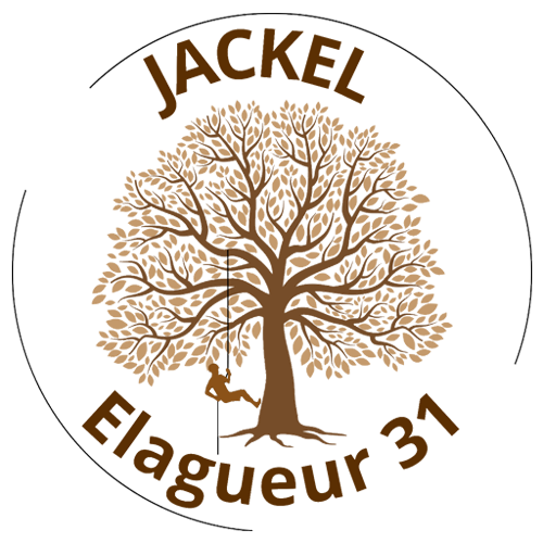 Création du site Jackel élagueur 31 + SEO local