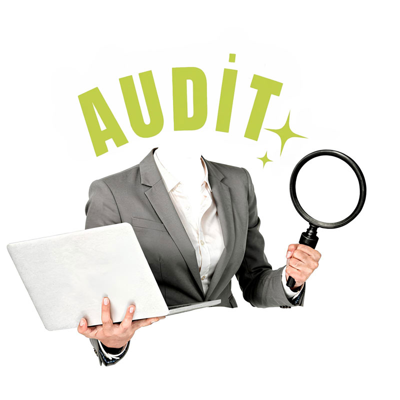 audit web occitanie agence web toulouse celicomm 31